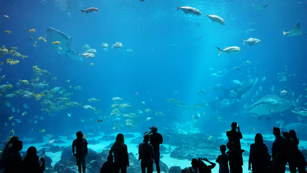 Silver + Dubai Aquarium – Burj Khalifa ticket